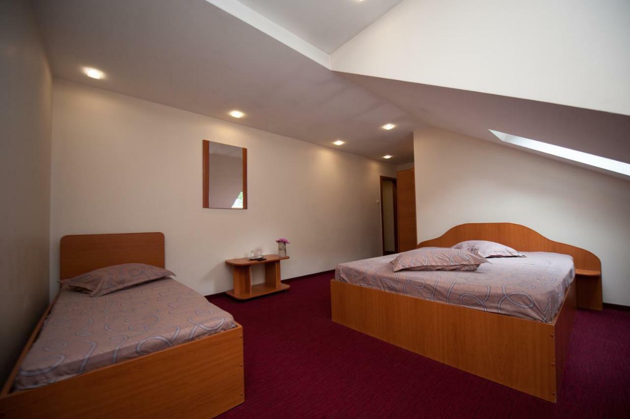 Pension Florica Питешти Экстерьер фото